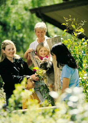 Cleland Wildlife Park - Accommodation in Surfers Paradise 5