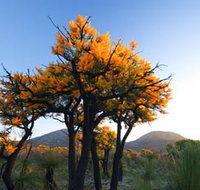 Cape Le Grand National Park - Accommodation in Surfers Paradise