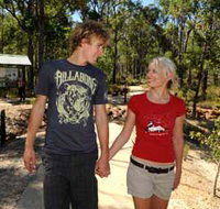 Crooked Brook Forest - Accommodation in Surfers Paradise