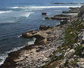 Cape Vlamingh - Accommodation in Surfers Paradise 0