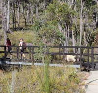 Forest Path Crooked Brook - Accommodation in Surfers Paradise