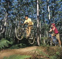 Leeuwin-Naturaliste National Park - Cowaramup - Accommodation in Surfers Paradise