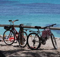 Parker Point Marine Snorkel Trail - Accommodation in Surfers Paradise