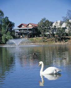 White Swans - Accommodation in Surfers Paradise 0