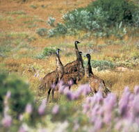 Jurabi Coastal Reserve - Accommodation in Surfers Paradise