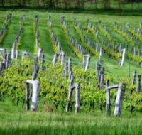 Sienna Estate Winery - Accommodation in Surfers Paradise