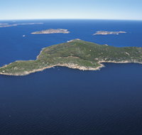 Woody Island Nature Reserve - Accommodation in Surfers Paradise