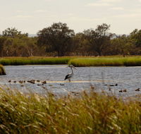 Anytime Adventures in Mandurah  the Peel Region - Accommodation in Surfers Paradise
