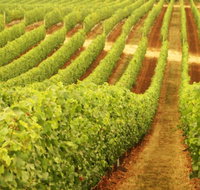 Happs Wines - Accommodation in Surfers Paradise