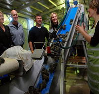 Eyre Peninsula's Seafood Trail - Accommodation in Surfers Paradise