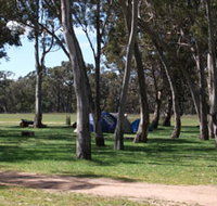 Black Cockatoo Bush Camp - Accommodation in Surfers Paradise