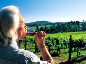 Ashton Hills Vineyard - Accommodation in Surfers Paradise 0
