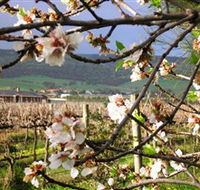 Cradle of Hills McLaren Vale Winery - Accommodation in Surfers Paradise