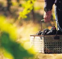 Burge Family Winemakers - Accommodation in Surfers Paradise