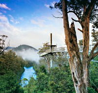 Tahune Adventures Tasmania - Accommodation in Surfers Paradise