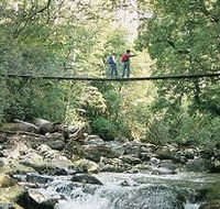 Arve Forest Drive - Accommodation in Surfers Paradise