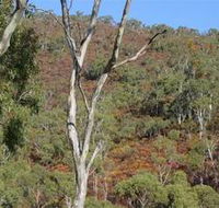 Black Hill Conservation Park - Accommodation in Surfers Paradise
