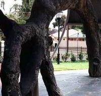 Old Gum Tree - Accommodation in Surfers Paradise