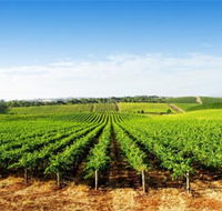 Aldinga Bay Winery - Accommodation in Surfers Paradise