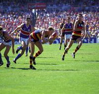 AAMI Stadium Tours - Accommodation in Surfers Paradise