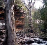 Mount Remarkable National Park - Accommodation in Surfers Paradise
