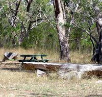 Penola Conservation Park - Accommodation in Surfers Paradise