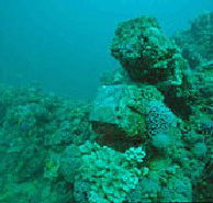 Adelaide's Underwater Heritage Trail - Accommodation in Surfers Paradise