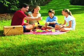 Bruny Island Berry Farm - Accommodation in Surfers Paradise 0