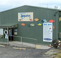 Stanley Seaquarium - Accommodation in Surfers Paradise