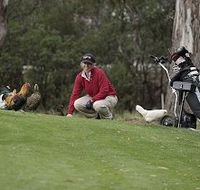 Tasmania Golf Club - The - Accommodation in Surfers Paradise
