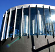 Moo Brew - Accommodation in Surfers Paradise