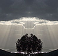 aart. Gallery of Fine Art - Accommodation in Surfers Paradise
