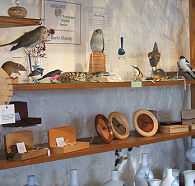 Touchwood Craft Gallery Gifts and Cafe - Accommodation in Surfers Paradise