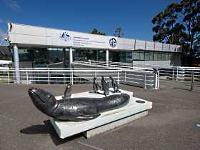 Australia's Antarctic Headquarters - Accommodation in Surfers Paradise 0