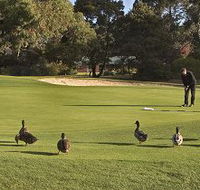 Royal Hobart Golf Club - Accommodation in Surfers Paradise