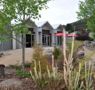 Tin Dragon Interpretation Centre and Cafe - Accommodation in Surfers Paradise