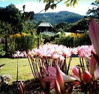Blueberry Cottage Open Gardens - Accommodation in Surfers Paradise
