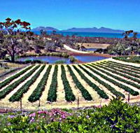 Kate's Berry Farm - Accommodation in Surfers Paradise