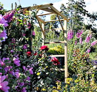 Thelma Retreat Garden and Teahouse - Accommodation in Surfers Paradise