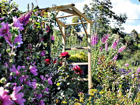 Thelma Retreat Garden And Teahouse - Accommodation in Surfers Paradise 0