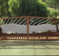 Tasmanian Bushland Garden - Accommodation in Surfers Paradise