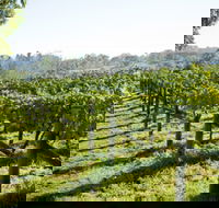 Surveyor's Hill Vineyards - Accommodation in Surfers Paradise