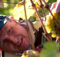 Puddleduck Vineyard - Accommodation in Surfers Paradise