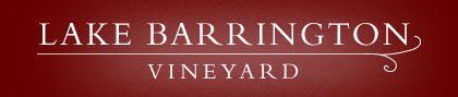 Lake Barrington Estate Vineyard - Accommodation in Surfers Paradise 0