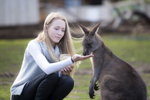 Bonorong Wildlife Sanctuary - Accommodation in Surfers Paradise 0