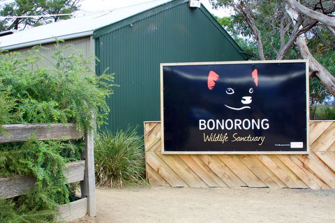 Bonorong Wildlife Sanctuary - Accommodation in Surfers Paradise 1