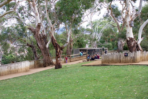 Bonorong Wildlife Sanctuary - Accommodation in Surfers Paradise 2