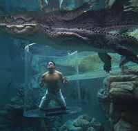 Crocosaurus Cove - Accommodation in Surfers Paradise