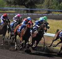 Alice Springs Turf Club - Accommodation in Surfers Paradise
