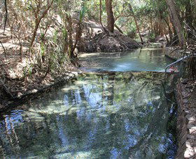 Katherine Hot Springs - Accommodation in Surfers Paradise 0